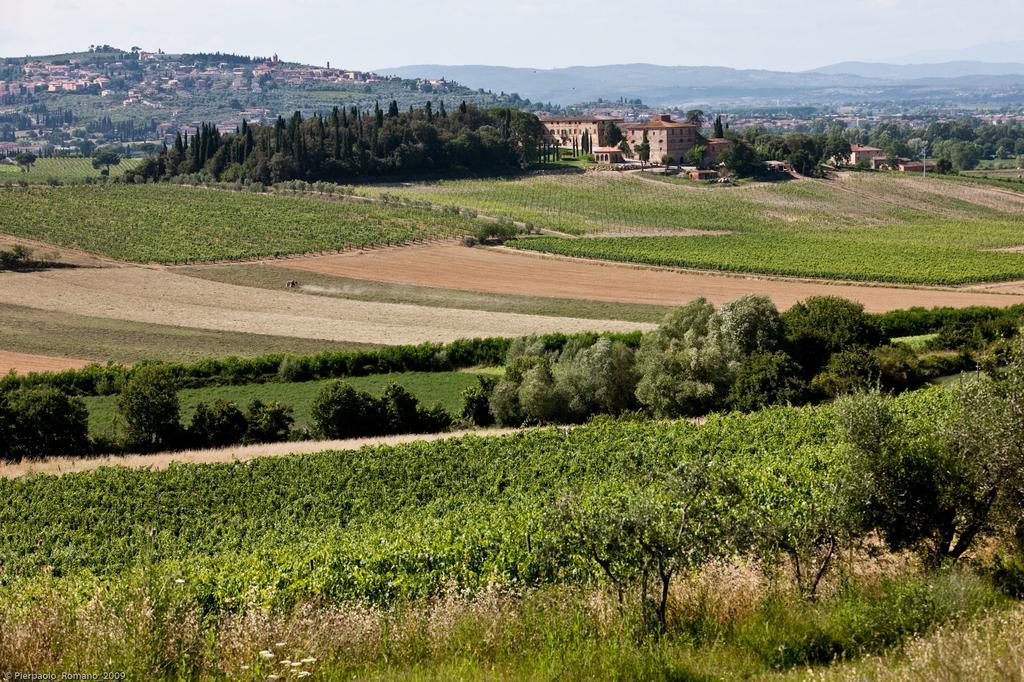 Tenuta Di Petriolo Hostal Torrita di Siena Exterior foto