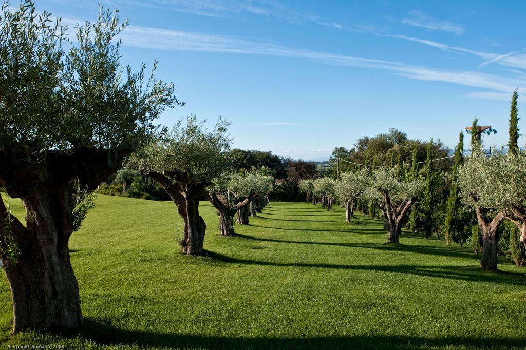 Tenuta Di Petriolo Hostal Torrita di Siena Exterior foto