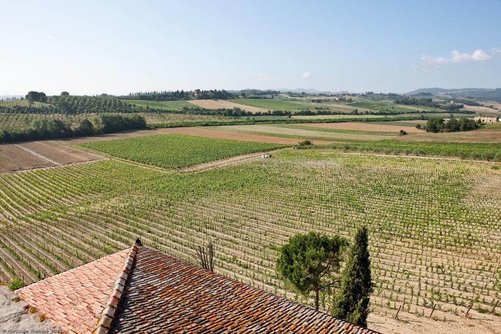 Tenuta Di Petriolo Hostal Torrita di Siena Exterior foto