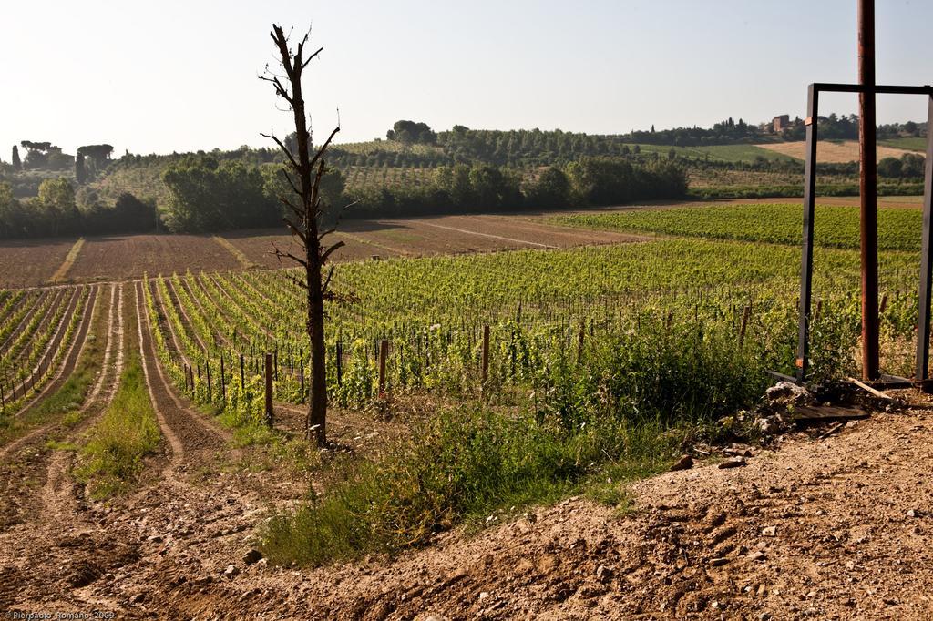 Tenuta Di Petriolo Hostal Torrita di Siena Exterior foto